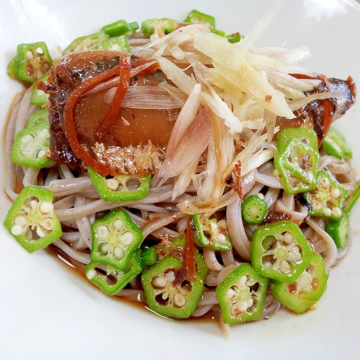 イワシの生姜煮缶deオクラぶっかけ蕎麦